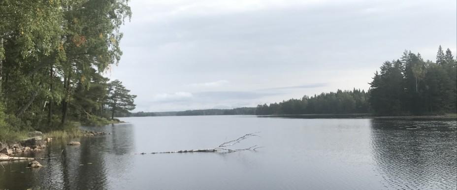 Årsjön, Holmsjön och Grönsjön - Image 1