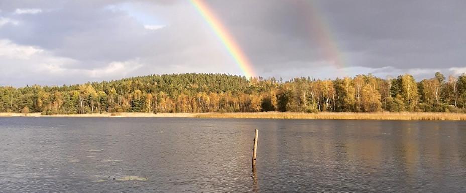 Hargsjön - Image 2