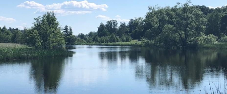 Svartån (Öringe-Mjölby FVOF) - Image 1