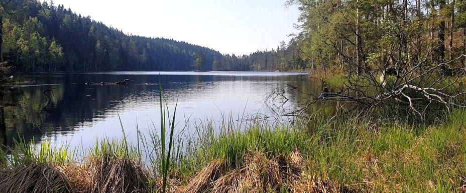 Södra Mjögesjön