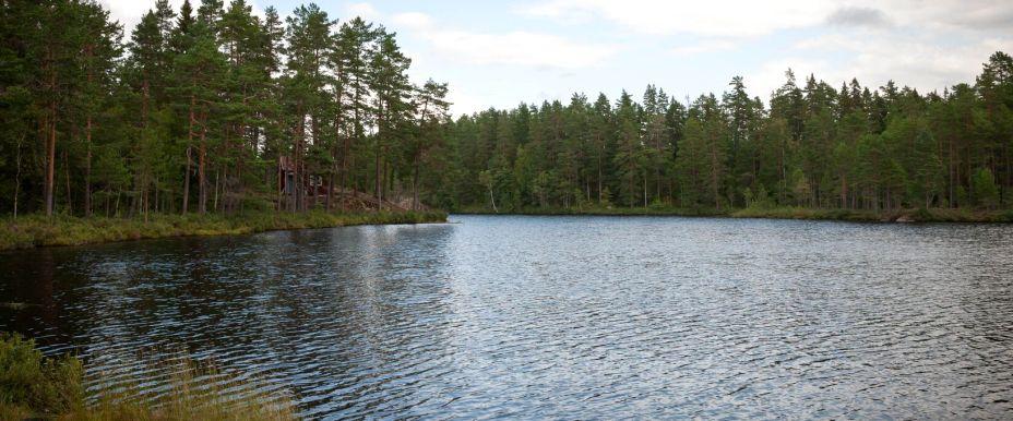 Kuvetjärnet Öringvatten