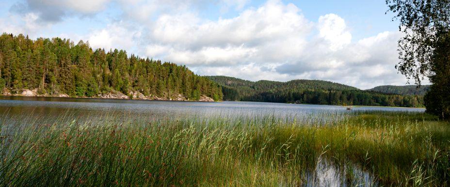 Nässjön
