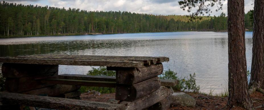 Södra Mjögesjön