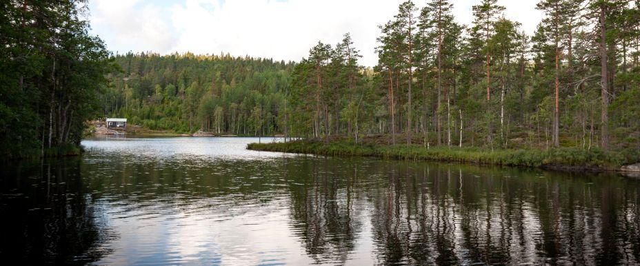 Södra Mjögesjön