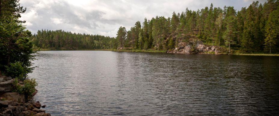 Södra Svartningstjärnet Öringvatten
