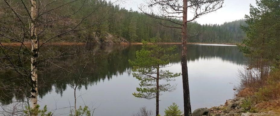 Södra Svartningstjärnet