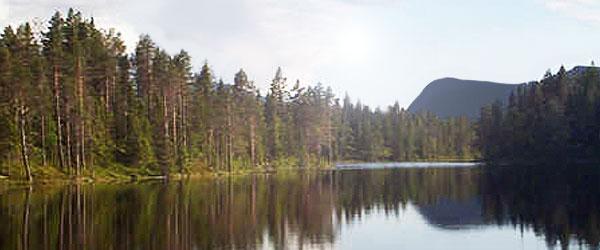 Fågelberget - Image 2