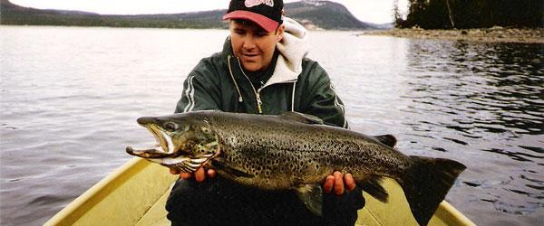 Fågelberget - Image 4