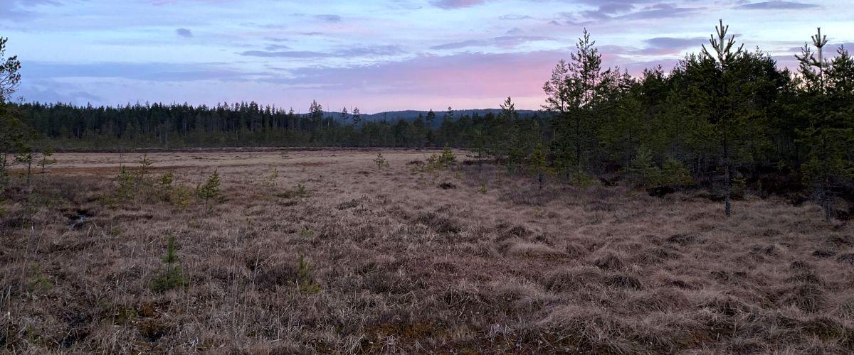 Nordmarksälven, Lersjön m fl vatten - Image 5