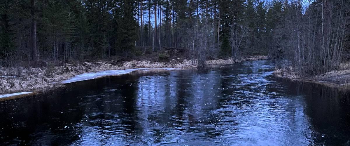 Nordmarksälven, Lersjön m fl vatten - Image 7