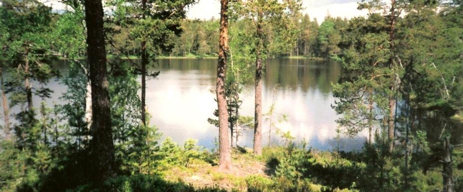 Stora Bör, Lilla Bör mfl - Image 1