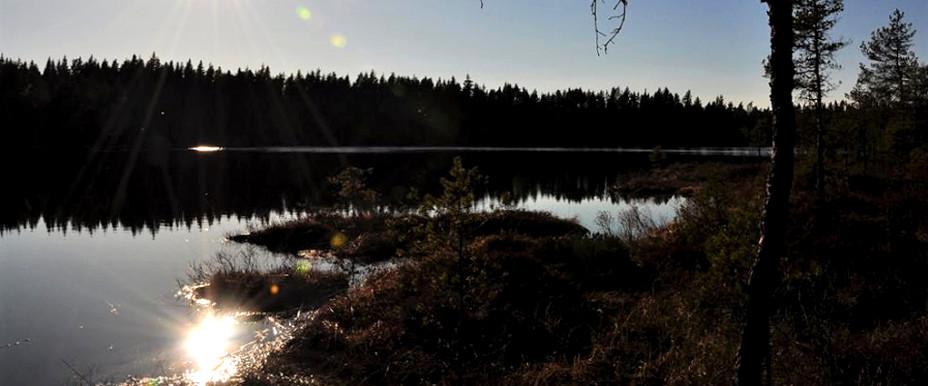 Stora Bör, Lilla Bör mfl - Image 7
