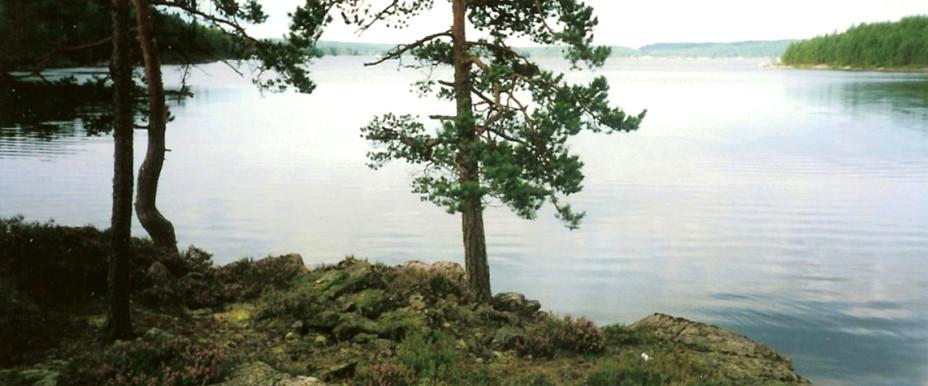 Stora Bör, Lilla Bör mfl - Image 2