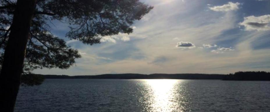 Järnsjön, Nedre Tvängen m fl vatten - Image 1