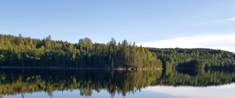 Örsjöarna, Vasstjärnet och Svarttjärnet - Image 2