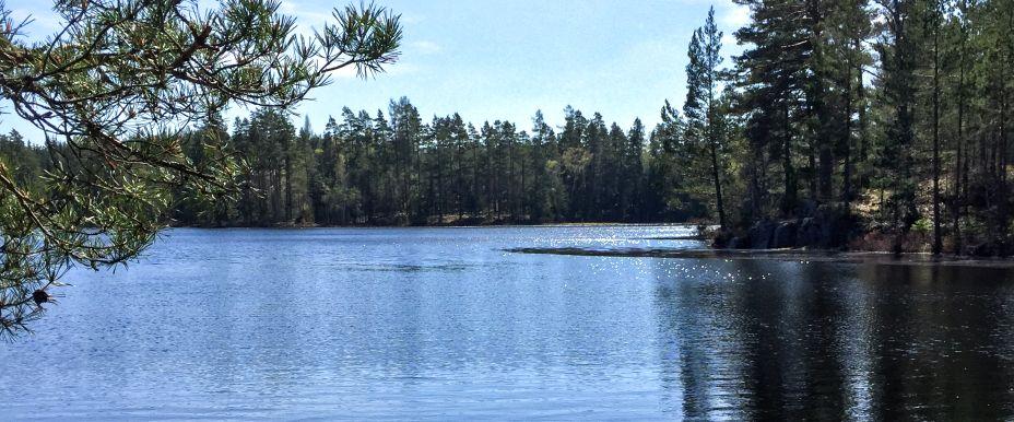 Örsjöarna, Vasstjärnet och Svarttjärnet - Image 1