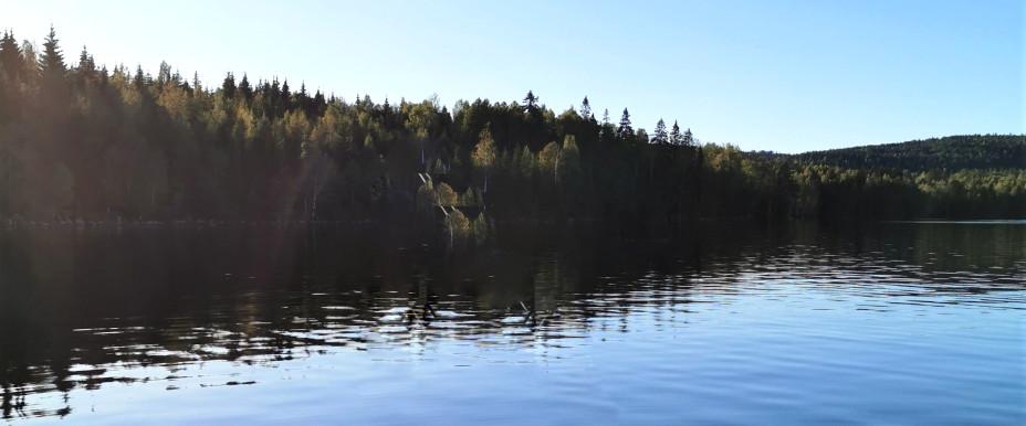 Älgsjön m fl tjärnar - Image 2