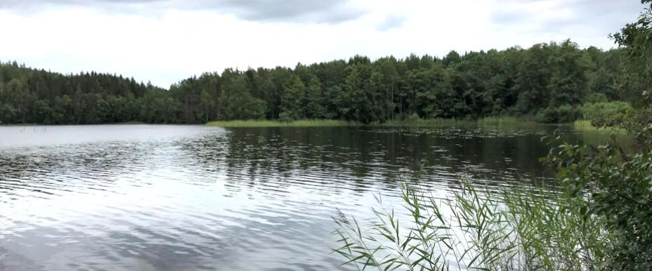 Borssjön - Image 1