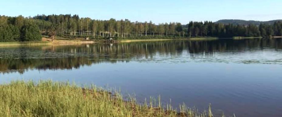 Aplungen, Gråsjön mfl - Image 1