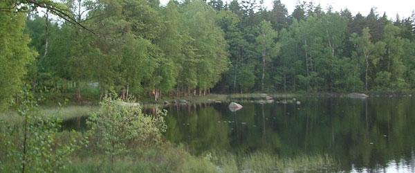 Härlunda FVOF - Image 4