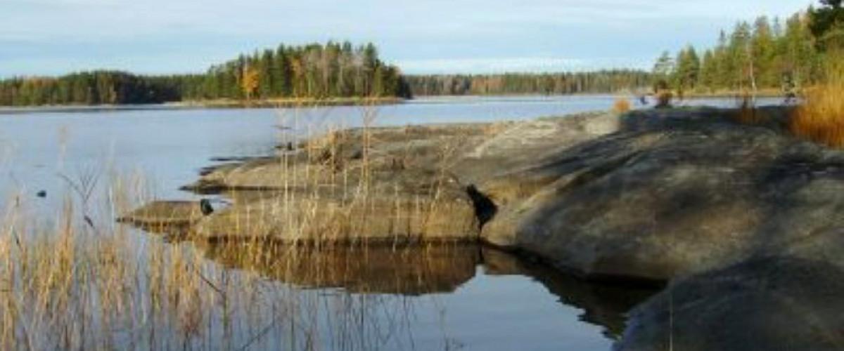 Foxen Stora Le - Image 2