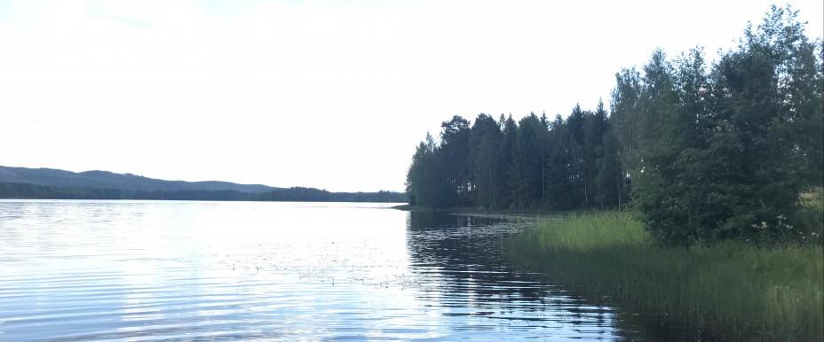Övre Fryksdalen - Image 6