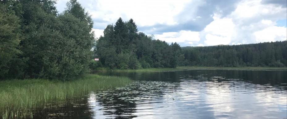 Övre Fryksdalen - Image 4