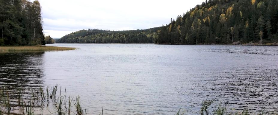 Björnklammen vid Kolugnarna