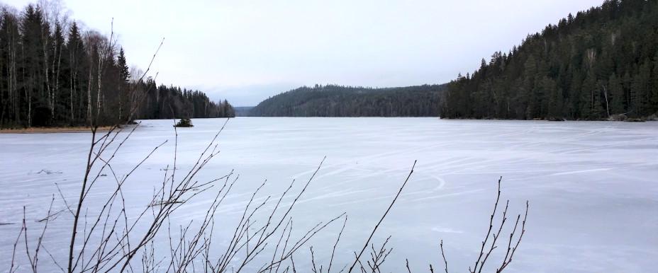 Björnklammen vid Kolugnarna