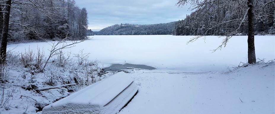 Björnklammen
