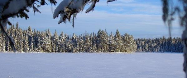 Bonäset-Risnäset-Äspnäs - Image 4
