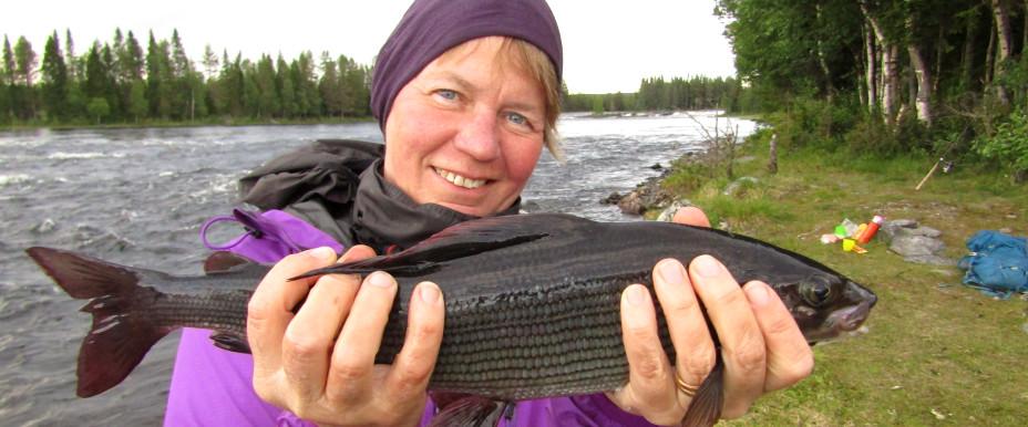 Lövsjöströmmen, Föllingesjön m fl vatten - Image 8