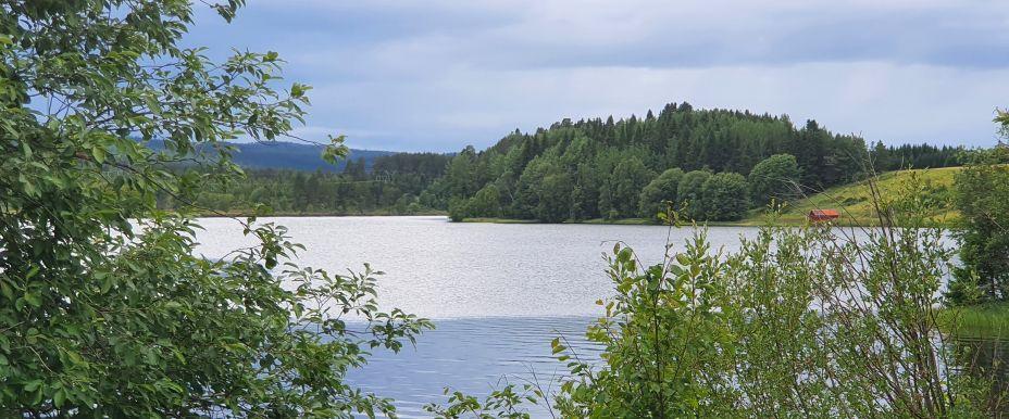 Indalsälven vid Mörsil - Image 10