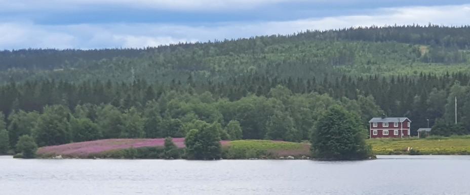 Indalsälven vid Mörsil - Image 7