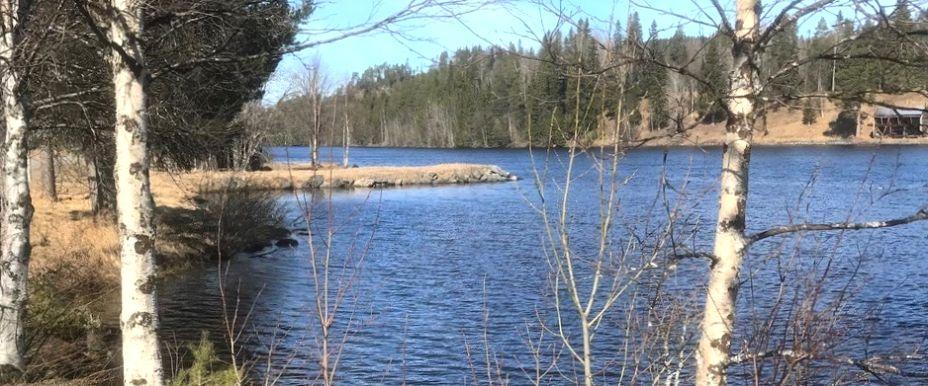 Indalsälven vid Mörsil - Image 1
