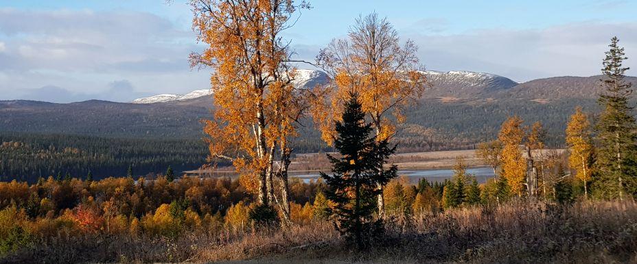 Portfjället