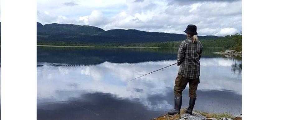 Björkvattnet m fl tjärnar - Image 10