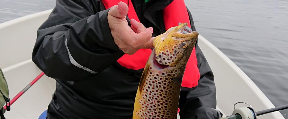 Båt fiske i Björkvattnet
