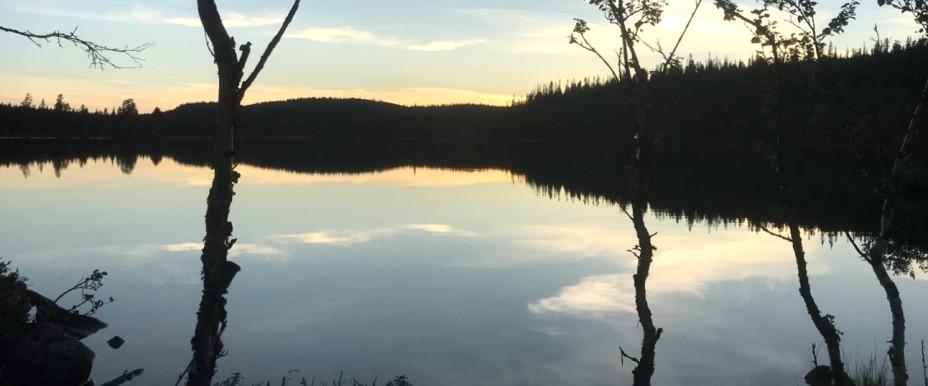 Tännäs - Funäsdalens Fiskeområde - Image 4