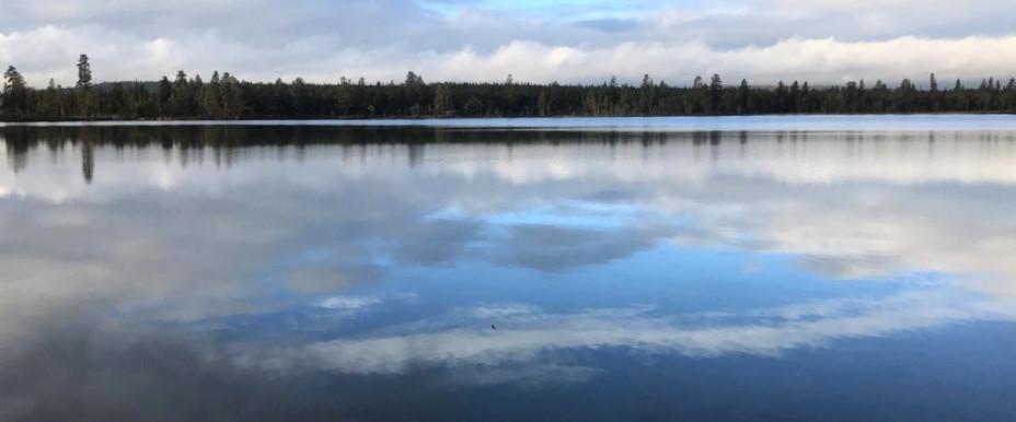 Tännäs - Funäsdalens Fiskeområde - Image 7