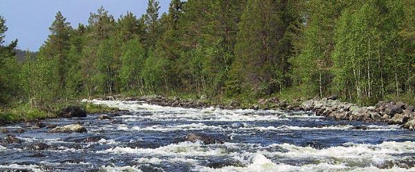 Tännäs - Funäsdalens Fiskeområde - Image 3