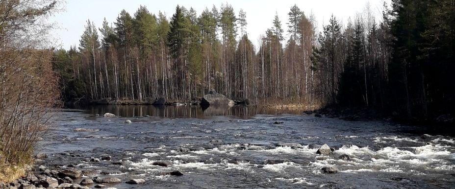 Russfjärden, Fångsjön m fl vatten - Image 1