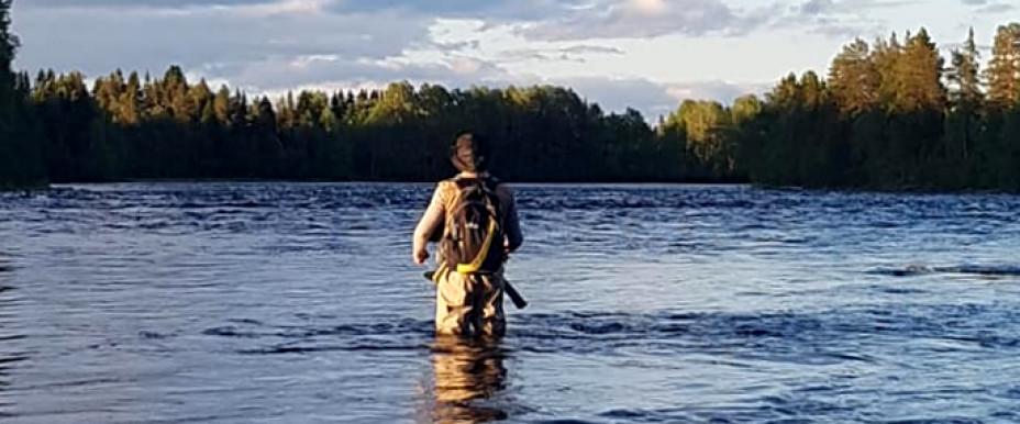 Ockesjön och Kvitsleströmmarna - Image 2