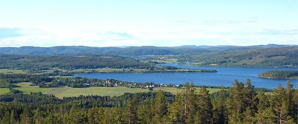 Hinnsjöns FVO - Image 2
