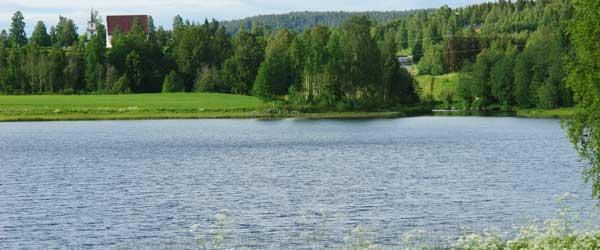 Hinnsjöns FVO - Image 5