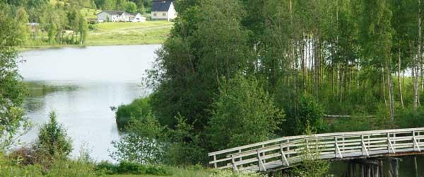 Hinnsjöns FVO - Image 6