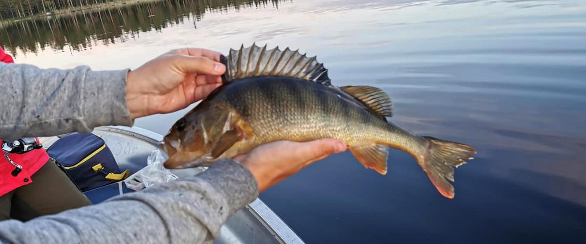 Rammsjön