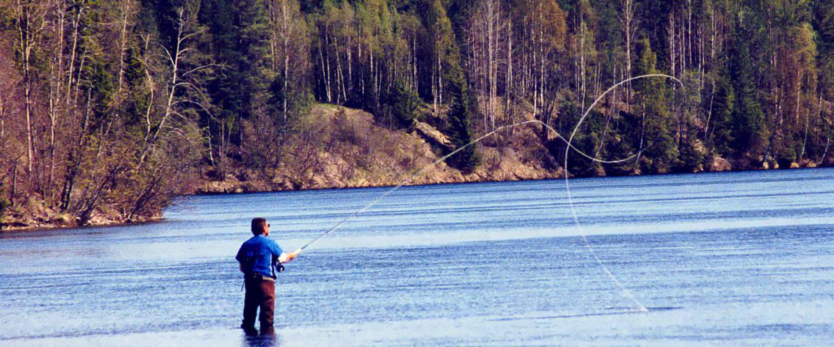 Hissmofors FVOF - Image 2