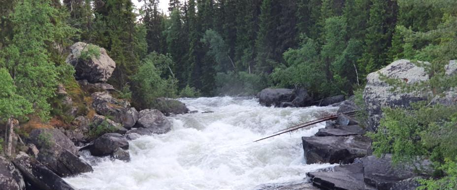 Storsjön, Sölvbacka strömmar, Skärkån m fl vatten - Image 4