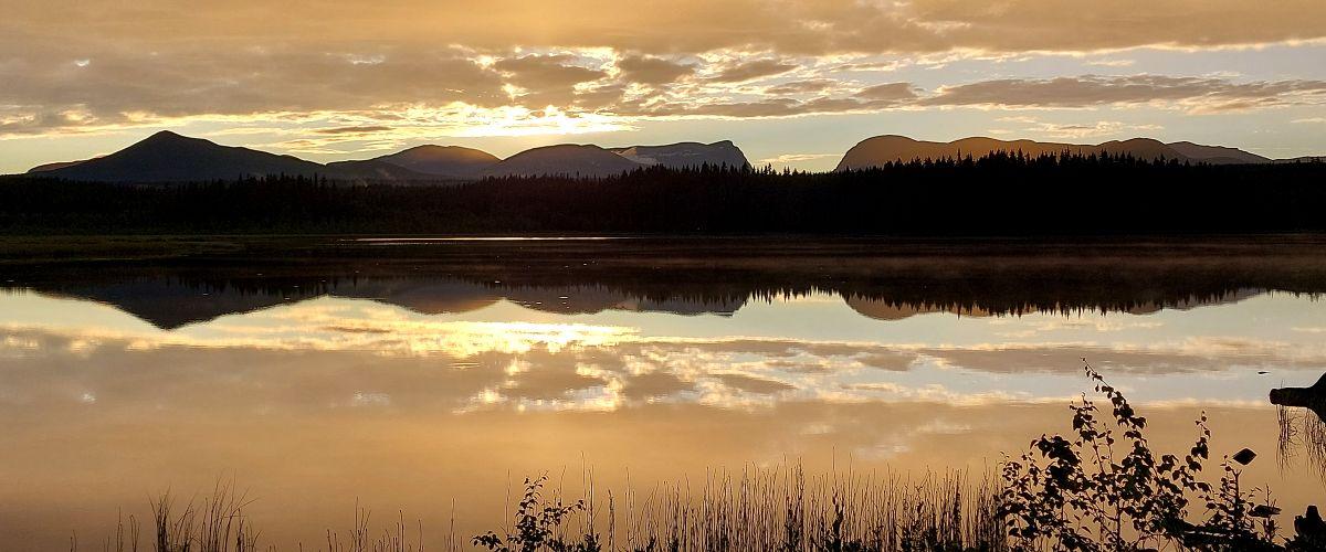Åbergstjärn i början av juli 2024